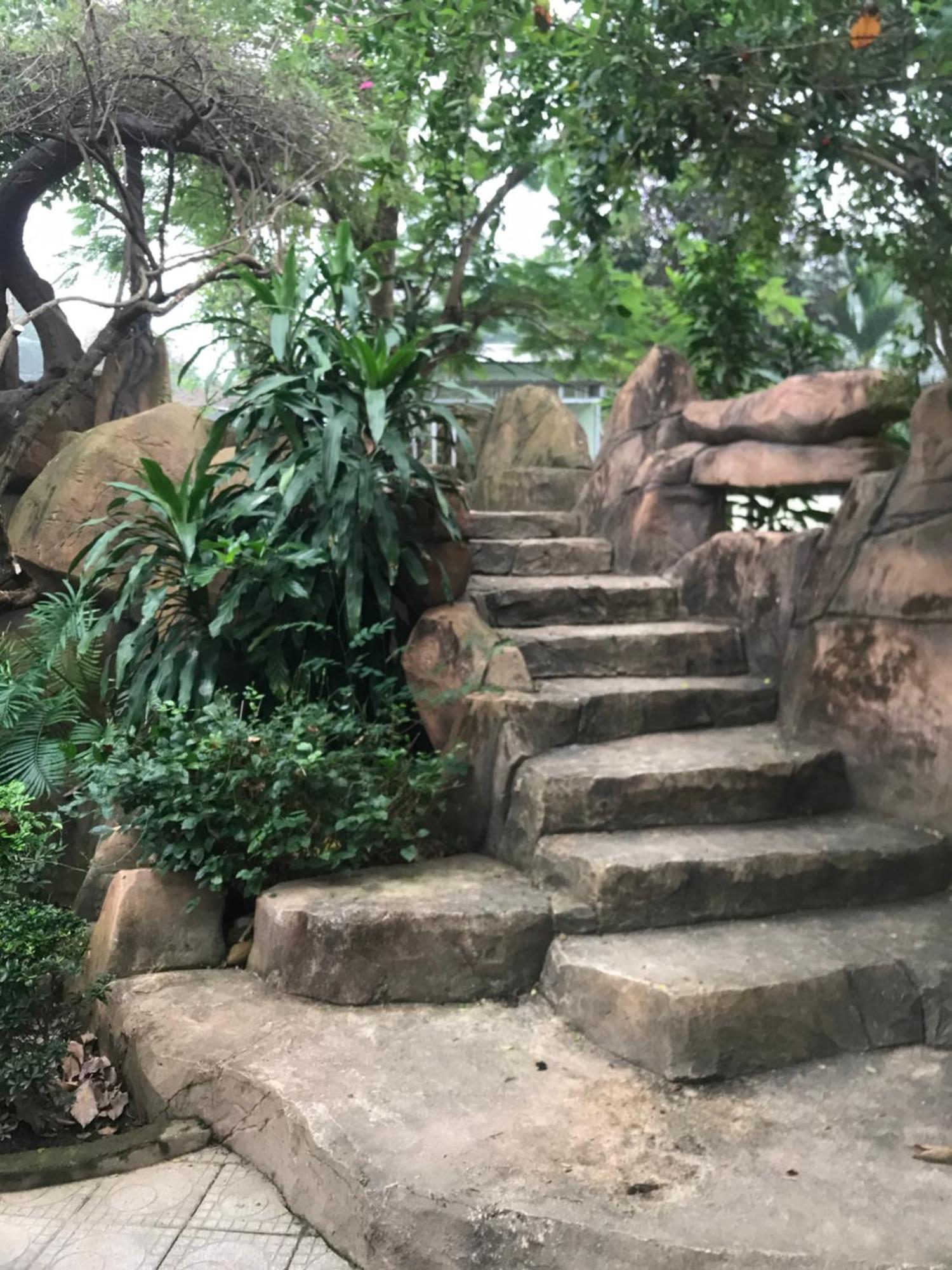 Lodge Son Garden *